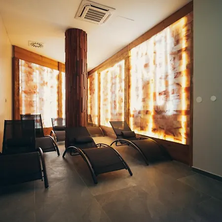 Wellness Jola 4* 巴尼西卢卡